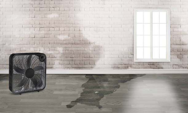 Best Sewage cleanup and water damage restoration  in Gettysburg, PA